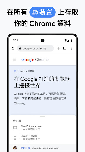 Google 浏览器 截图 5