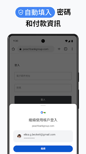 Google 浏览器 截图 2