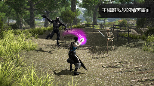 伊伏尔兰兹：魔法 MMORPG (Evil Lands) 截图 2