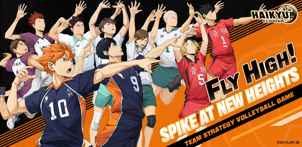 HAIKYU!! FLY HIGH 背景图
