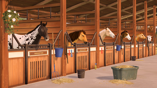 家族传奇： 马匹养成竞技 截图 2