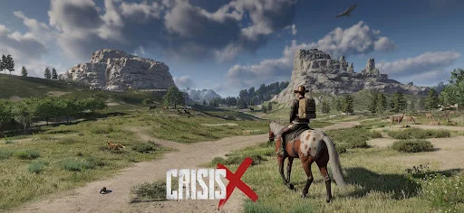CrisisX 截图 1