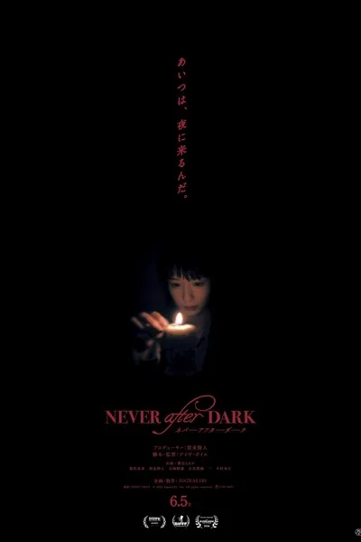 入夜不再海报